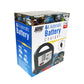 12V LED Automatic Battery Charger