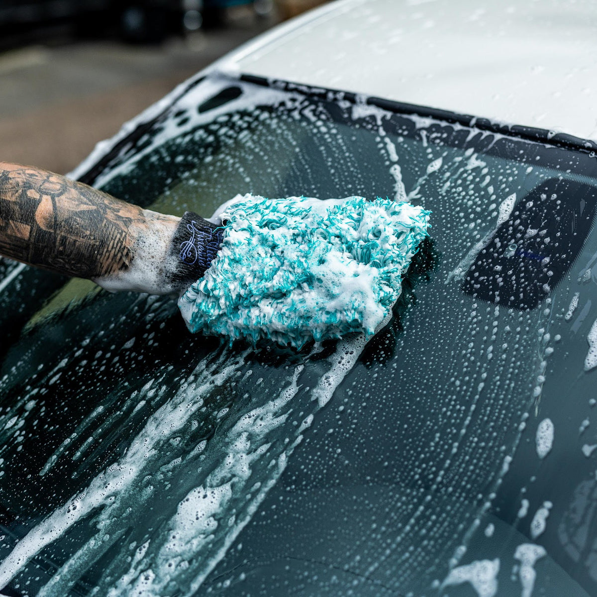Plush Wash Mitt