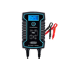 6A Smart Charger and Battery Maintainer